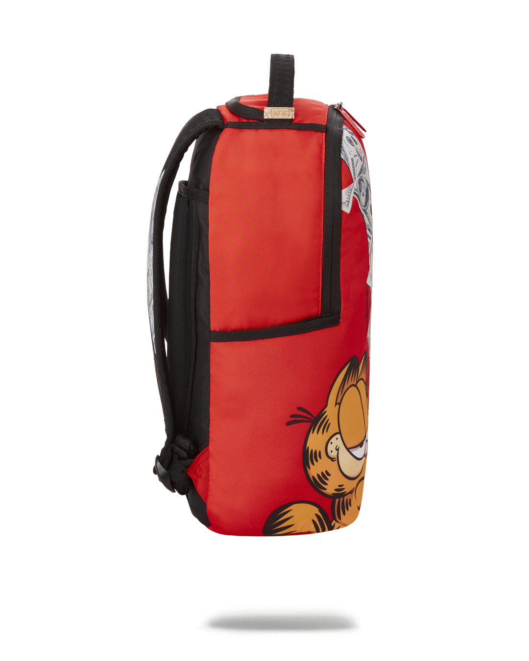 GARFIELD CAT SCRATCH (DLXR)